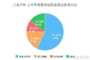 中巴價投研習社發布三夫戶外（SZ002780）半年報畫冊，33張圖表深度解析年度報表